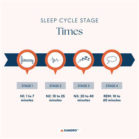DifferentSleepStagesandTheirSignificance