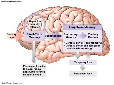 Guide to Recognizing Signs of Pet Dementia