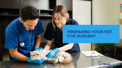 PreparingYourPetfortheProcedure