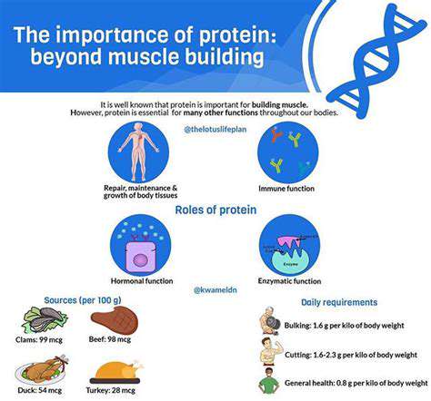 Protein:TheFoundationofMuscleMaintenanceandRepair