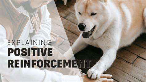 TheFoundationofEffectiveServiceDogTraining:PositiveReinforcement