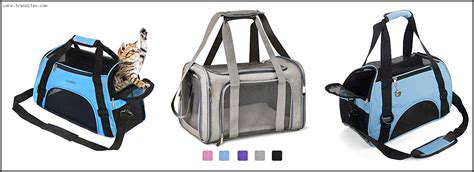 Best Pet Carriers for Travel